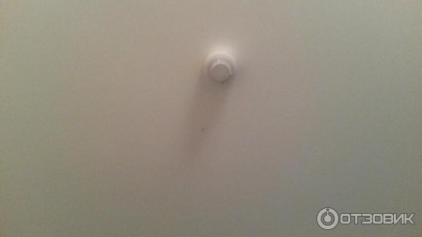 Гостиница Фиолент фото