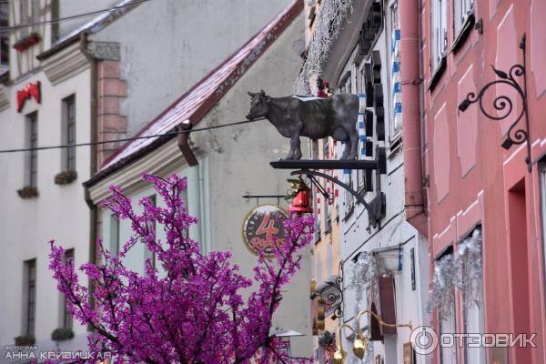 Старая часть города Рига (Латвия) фото