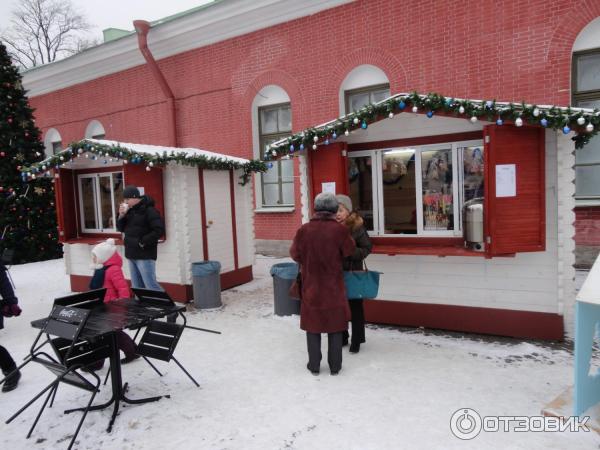 Выставка ледовых скульптур 2016-2017г. (Россия, Санкт-Петербург) фото