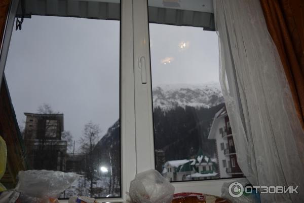 Золотой мустанг фото