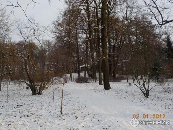 Ботанический сад Петра Великого (Россия, Санкт-Петербург) фото