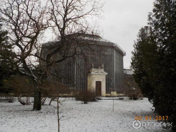 Ботанический сад Петра Великого (Россия, Санкт-Петербург) фото