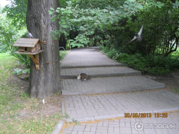 Ботанический сад Петра Великого (Россия, Санкт-Петербург) фото