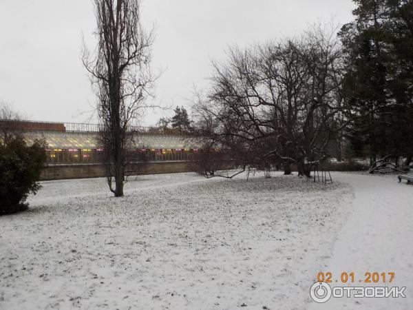 Ботанический сад Петра Великого (Россия, Санкт-Петербург) фото