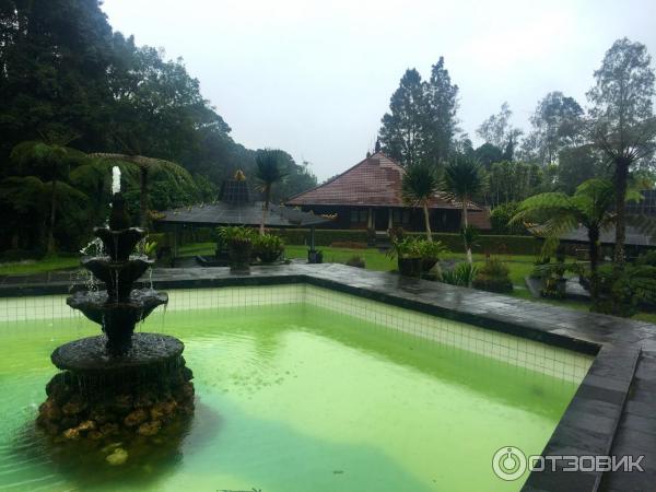 Ботанический сад Bali Botanic Garden (Индонезия, Бали) фото