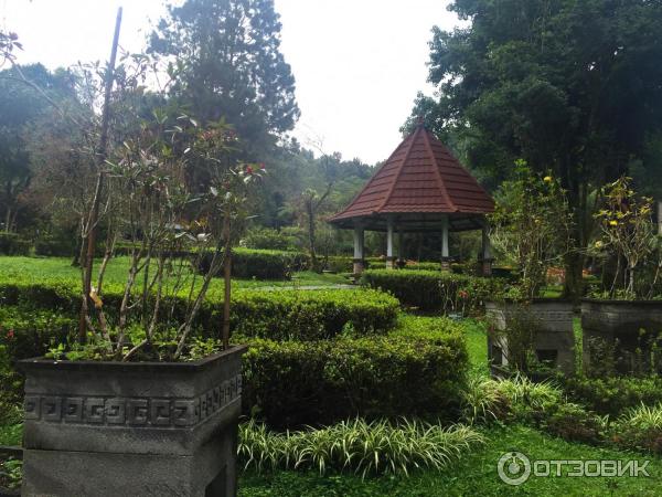 Ботанический сад Bali Botanic Garden (Индонезия, Бали) фото