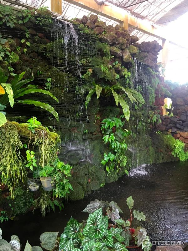 Ботанический сад Bali Botanic Garden (Индонезия, Бали) фото