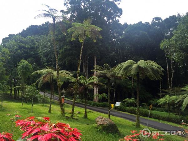 Ботанический сад Bali Botanic Garden (Индонезия, Бали) фото