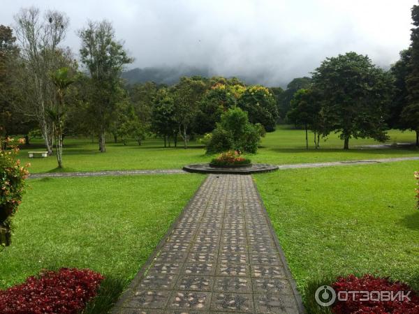 Ботанический сад Bali Botanic Garden (Индонезия, Бали) фото