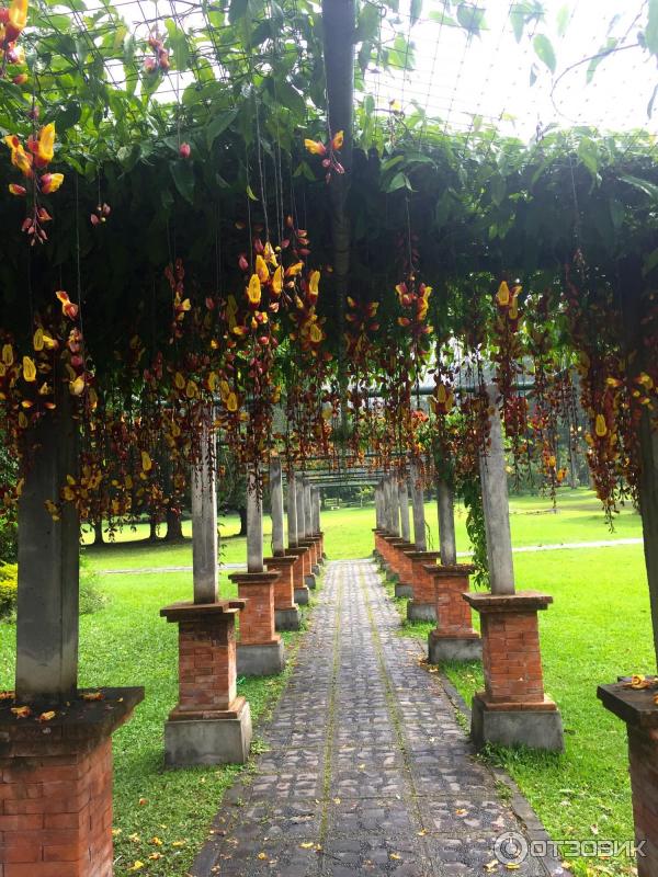 Ботанический сад Bali Botanic Garden (Индонезия, Бали) фото