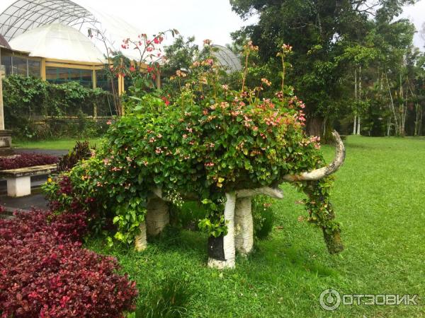 Ботанический сад Bali Botanic Garden (Индонезия, Бали) фото