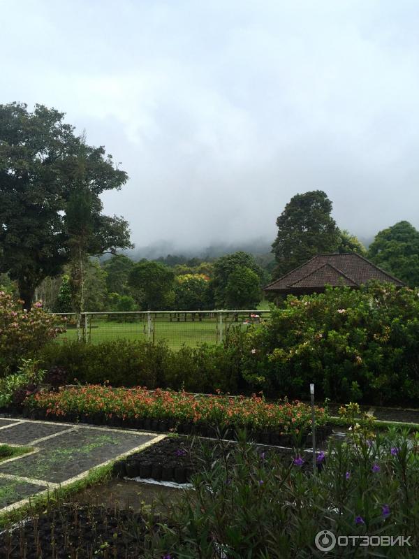 Ботанический сад Bali Botanic Garden (Индонезия, Бали) фото