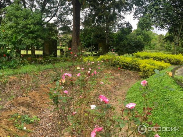 Ботанический сад Bali Botanic Garden (Индонезия, Бали) фото