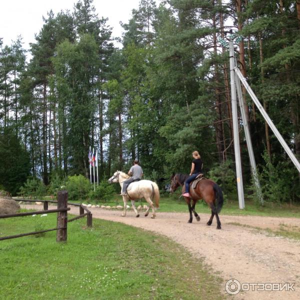 Конные прогулки с местным конюхом