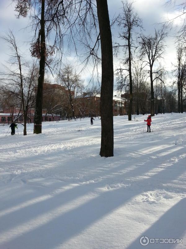 Парк культуры и отдыха в г. Павловский Посад фото