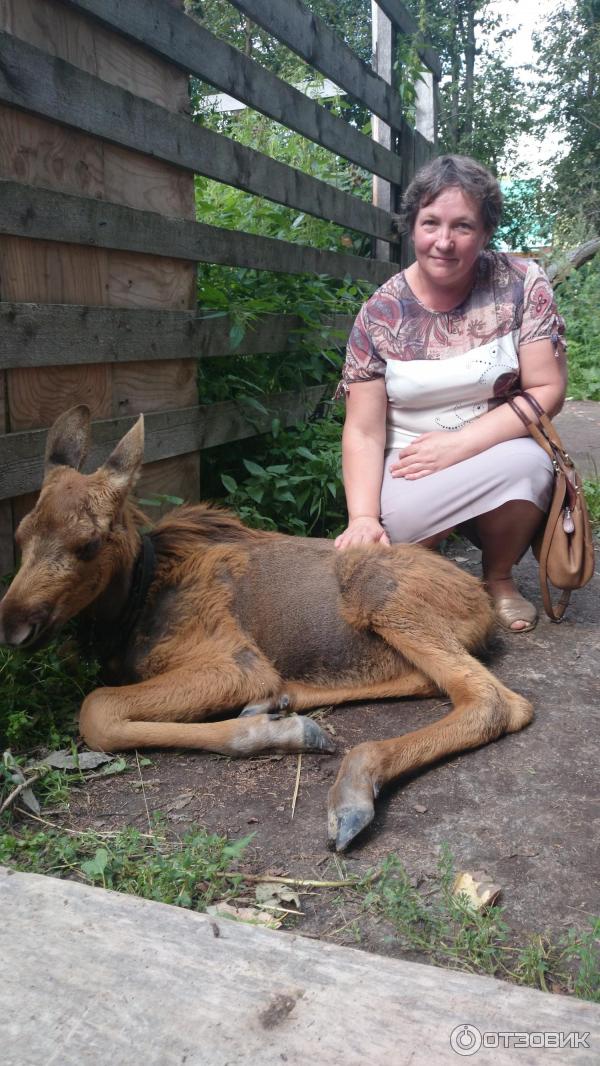 Государственный природный заказник Сумароковский (Россия, Костромская область) фото