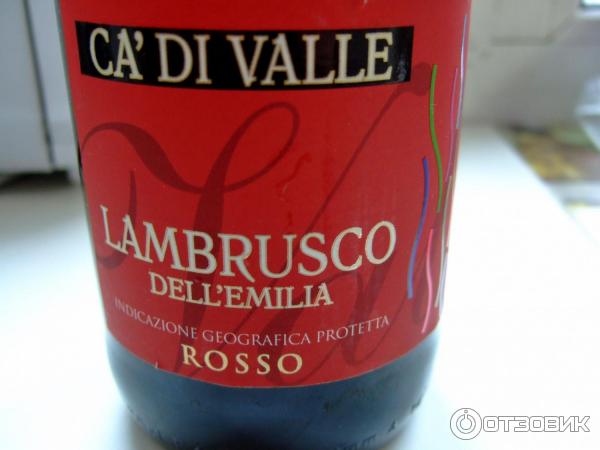 Игристое вино Donelli Lambrusco Dell'Emilia Ca'di Valle фото