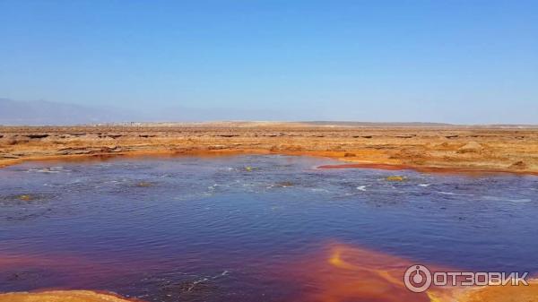 Пустыня Данакиль (Эфиопия, Афар) фото