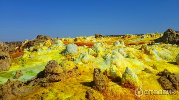 Пустыня Данакиль (Эфиопия, Афар) фото