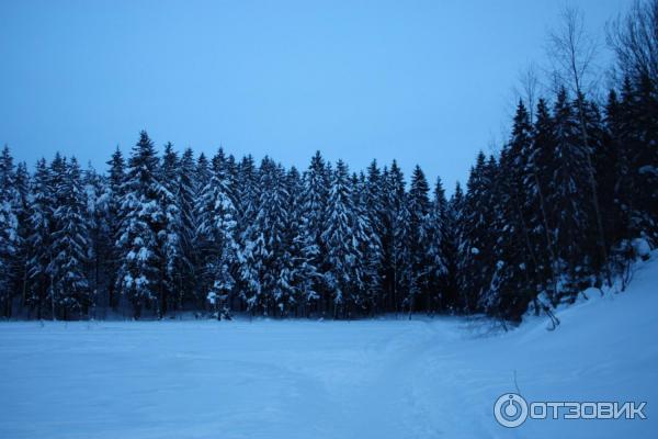 Гостиница Кавголово (Россия, Ленинградская обл., пос. Токсово) фото