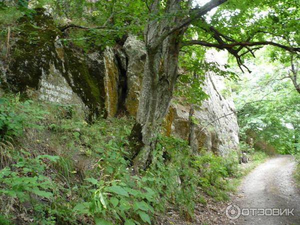 Экскурсия на гору Бештау (Россия, Железноводск) фото