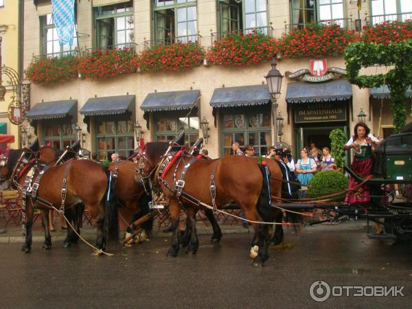 Октоберфест (Германия, Мюнхен) фото