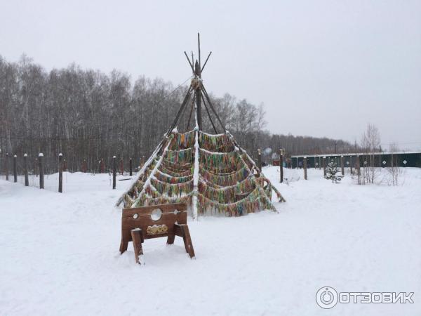 Хаски-центр Аквилон (Россия, Челябинская область) фото