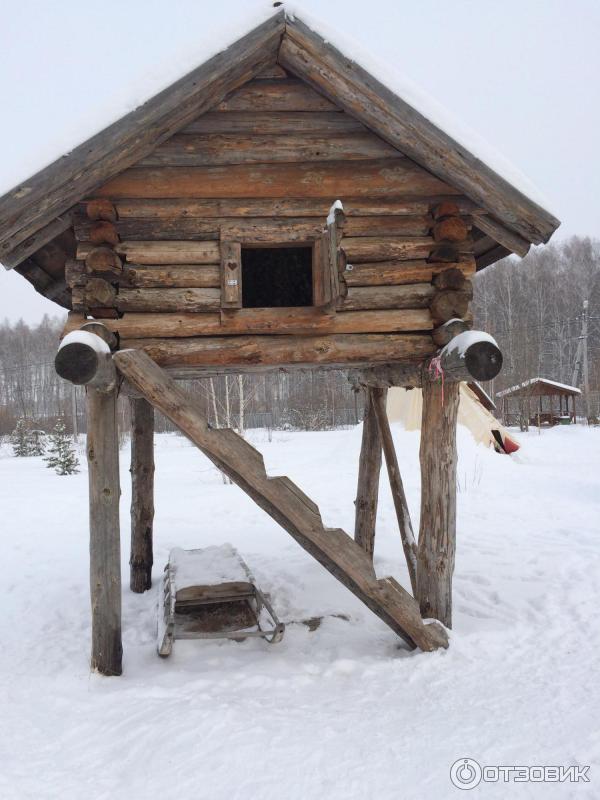 Хаски-центр Аквилон (Россия, Челябинская область) фото