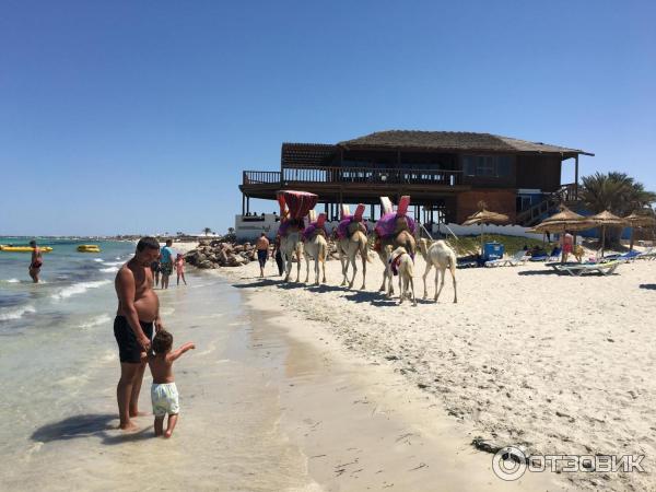 Отель Caribbean World Djerba 4 (Тунис, Джерба) фото