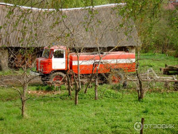 Экскурсия в Псковскую область (Россия, Псковская область) фото