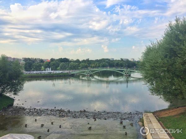 Вид с царицынской плотины