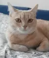 поинтересуйтесь