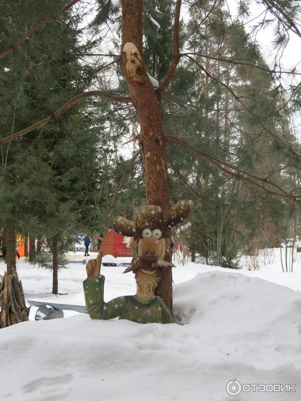 Лыжный марафон Russialoppet Николов Перевоз (Россия, Московская область) фото