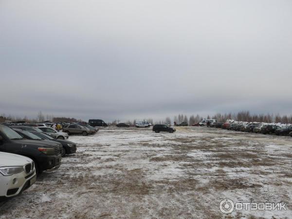 Лыжный марафон Russialoppet Николов Перевоз (Россия, Московская область) фото