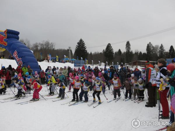 Лыжный марафон Russialoppet Николов Перевоз (Россия, Московская область) фото