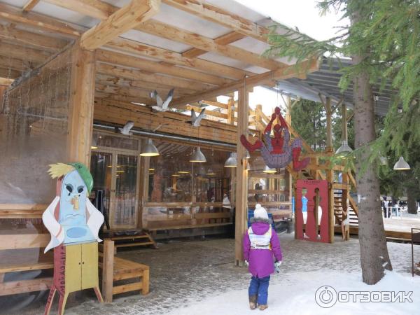 Лыжный марафон Russialoppet Николов Перевоз (Россия, Московская область) фото