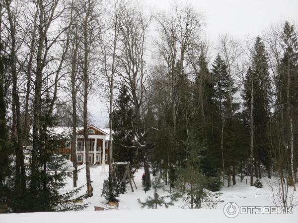 Лыжный марафон Russialoppet Николов Перевоз (Россия, Московская область) фото