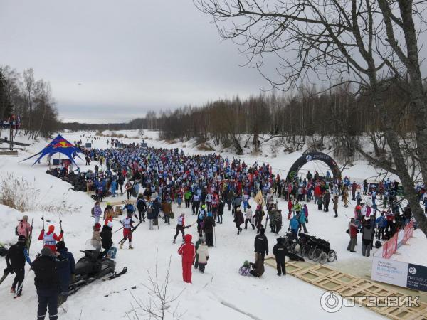 Лыжный марафон Russialoppet Николов Перевоз (Россия, Московская область) фото