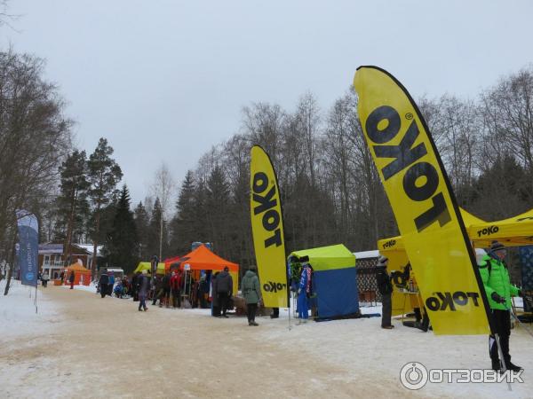 Лыжный марафон Russialoppet Николов Перевоз (Россия, Московская область) фото