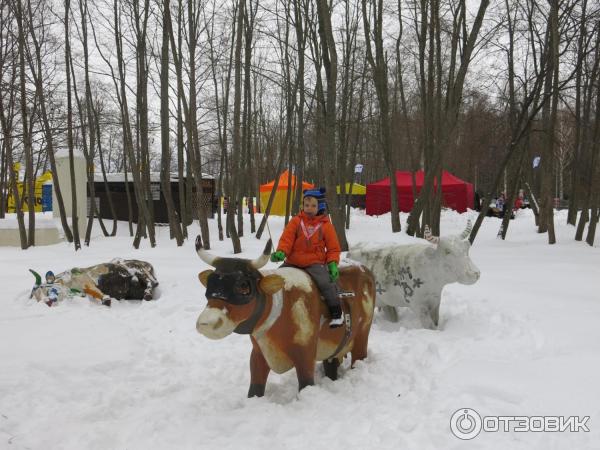 Лыжный марафон Russialoppet Николов Перевоз (Россия, Московская область) фото
