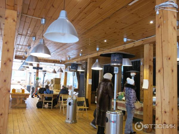 Лыжный марафон Russialoppet Николов Перевоз (Россия, Московская область) фото