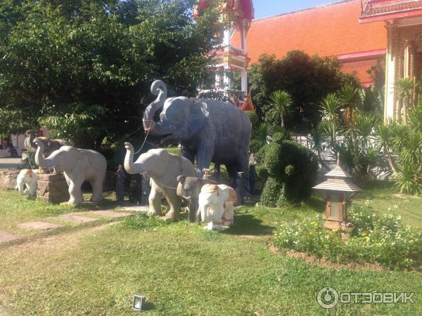 Буддийский храм, Пхукет