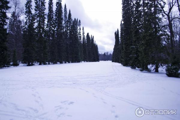Катальная горка в дворцово-парковом ансамбле Ораниенбаум (Россия, Ломоносов) фото