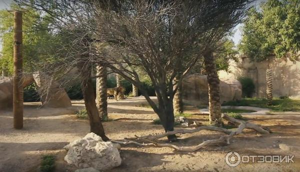 Зоопарк Аль-Айна (Al Ain Zoo) (ОАЭ, Аль-Айн) фото