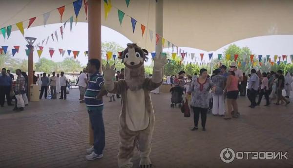 Зоопарк Аль-Айна (Al Ain Zoo) (ОАЭ, Аль-Айн) фото