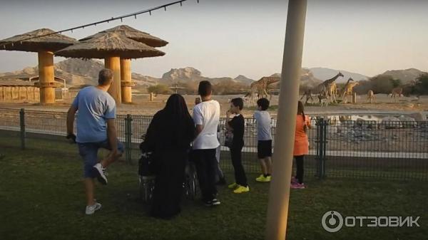 Зоопарк Аль-Айна (Al Ain Zoo) (ОАЭ, Аль-Айн) фото