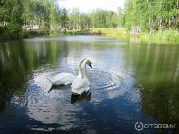 Развлекательный комплекс В некотором царстве (Россия, Рязань) фото