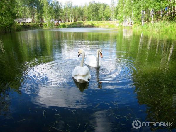 Развлекательный комплекс В некотором царстве (Россия, Рязань) фото