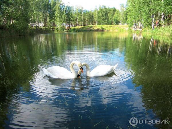 Развлекательный комплекс В некотором царстве (Россия, Рязань) фото