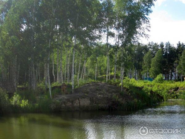 Развлекательный комплекс В некотором царстве (Россия, Рязань) фото